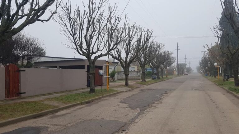 Intensa poda para mejorar la arboleda local
