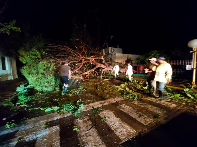 TRAMANNONI TRAS LA TORMENTA – «Agradezco de corazón a cada vecino que nos vino a ayudar»