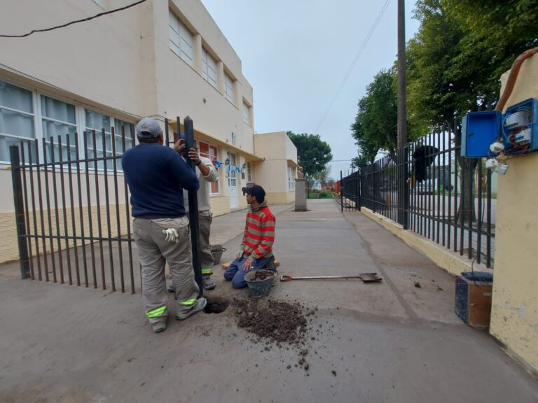 Notorios avances en la escuela primaria de Los Cardos