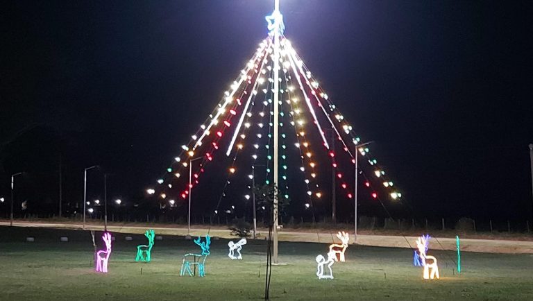 Arbolito nuevo para el «Parque Norte»